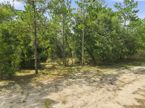 Ne 156th Ct, Williston, FL 32696 photo 7