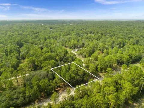 Ne 156th Ct, Williston, FL 32696 photo 2