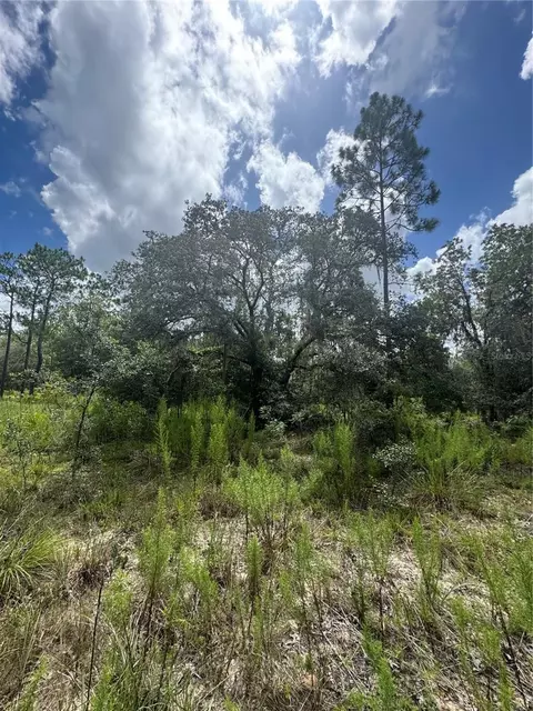 tbd NE 100 Ave, Archer, FL 32618 photo 10