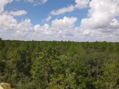 tbd NE 100 Ave, Archer, FL 32618 photo 9