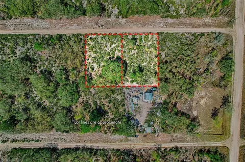 000 NE 68th Pl, Williston, FL 32696 photo 6
