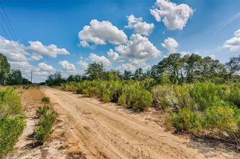 000 NE 68th Pl, Williston, FL 32696 photo 2