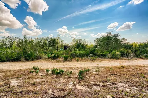 000 NE 68th Pl, Williston, FL 32696 photo 10