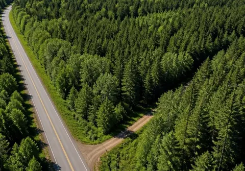 SW Co Rd 249, Jasper, FL 32052 photo 3