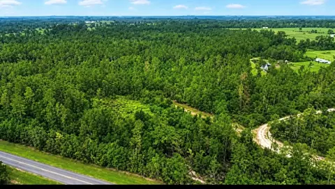 SW Co Rd 249, Jasper, FL 32052 photo 4