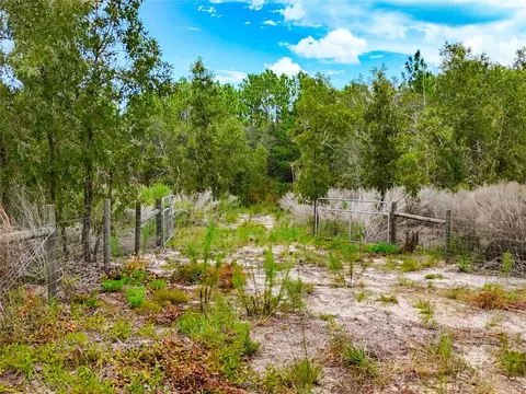 tbd NE 56th St, Bronson, FL 32621 photo 6