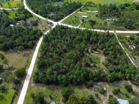 tbd NE 132nd Ct, Williston, FL 32696 photo 6