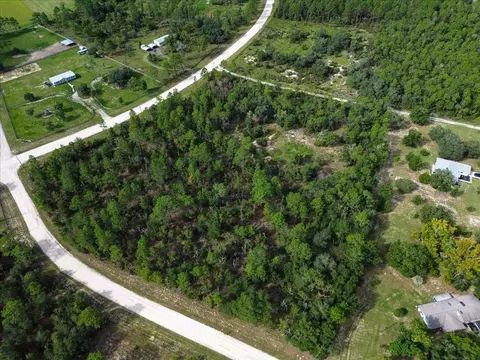 tbd NE 132nd Ct, Williston, FL 32696 photo 5