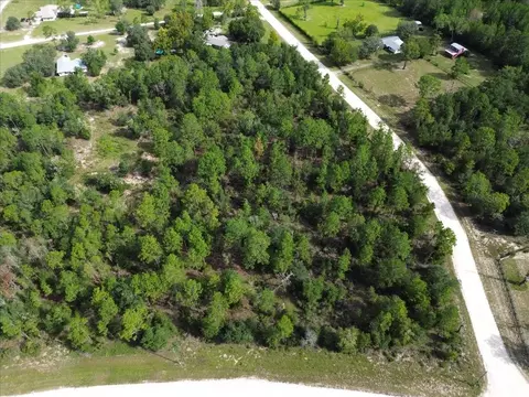 tbd NE 132nd Ct, Williston, FL 32696 photo 2