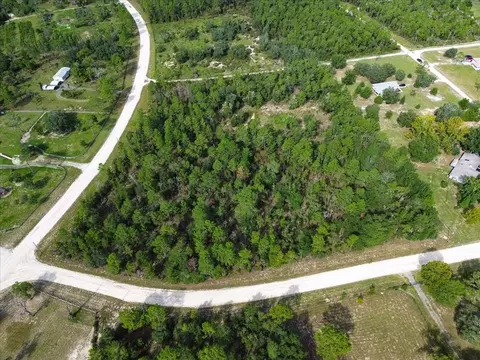 tbd NE 132nd Ct, Williston, FL 32696 photo 4