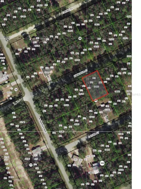 3676 E Walker St, Inverness, FL 34453 photo 3