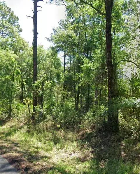 3676 E Walker St, Inverness, FL 34453 photo 2