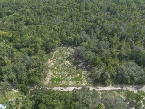 tbd NE 82nd Pl, Bronson, FL 32621 photo 6