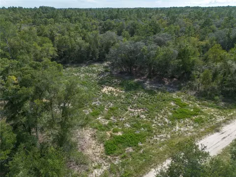 tbd NE 82nd Pl, Bronson, FL 32621 photo 3