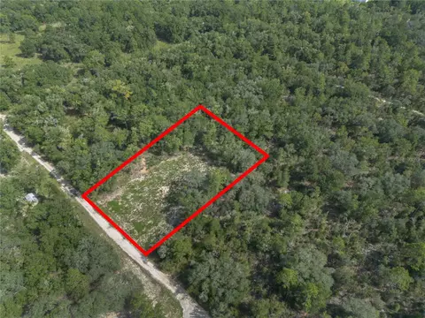 tbd NE 82nd Pl, Bronson, FL 32621 photo 11