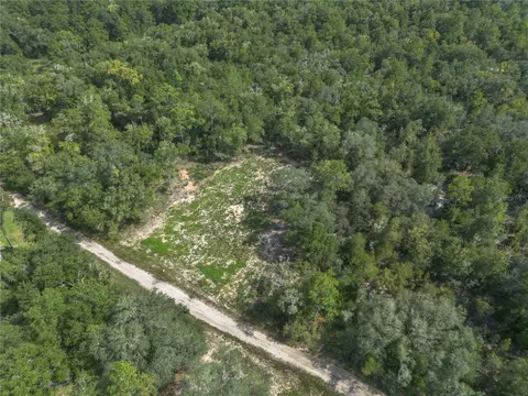 tbd NE 82nd Pl, Bronson, FL 32621 photo 5