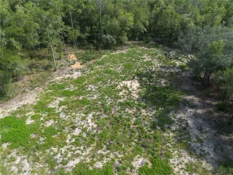 tbd NE 82nd Pl, Bronson, FL 32621 photo 2