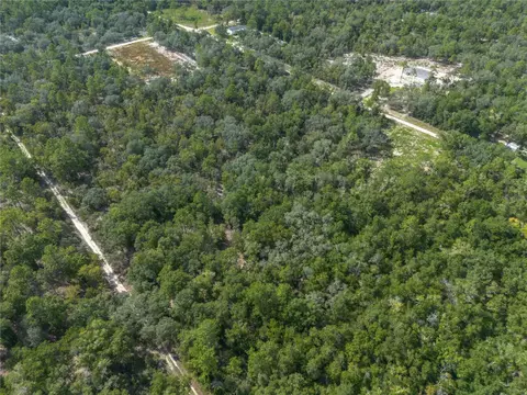 tbd NE 82nd Pl, Bronson, FL 32621 photo 10