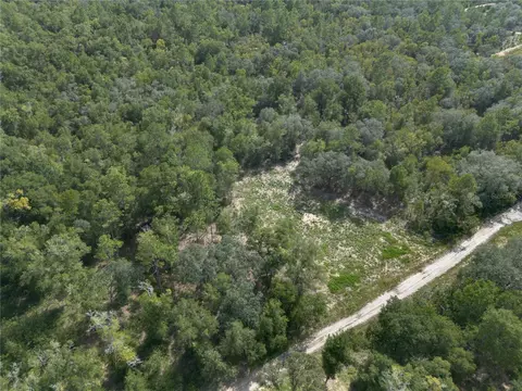 tbd NE 82nd Pl, Bronson, FL 32621 photo 7