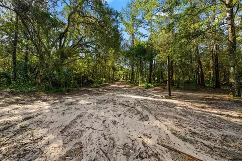 3426 SE 185th Ave, Micanopy, FL 32667 photo 11