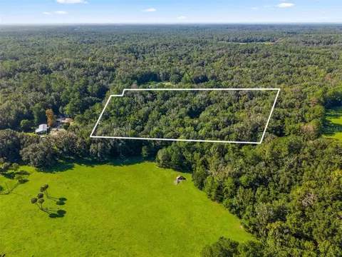 3426 SE 185th Ave, Micanopy, FL 32667 photo 2