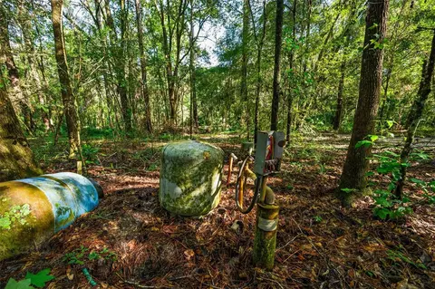 3426 SE 185th Ave, Micanopy, FL 32667 photo 5