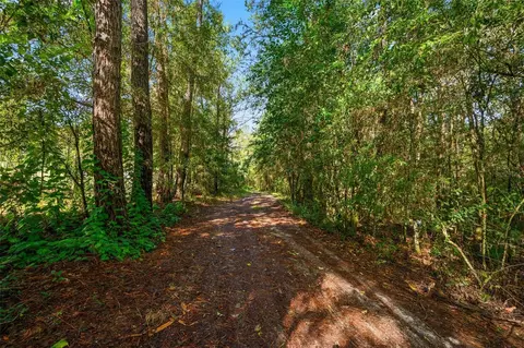 3426 SE 185th Ave, Micanopy, FL 32667 photo 3