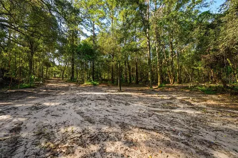 3426 SE 185th Ave, Micanopy, FL 32667 photo 12