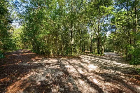 3426 SE 185th Ave, Micanopy, FL 32667 photo 16