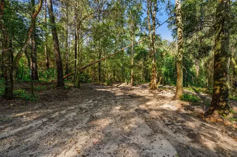 3426 SE 185th Ave, Micanopy, FL 32667 photo 13
