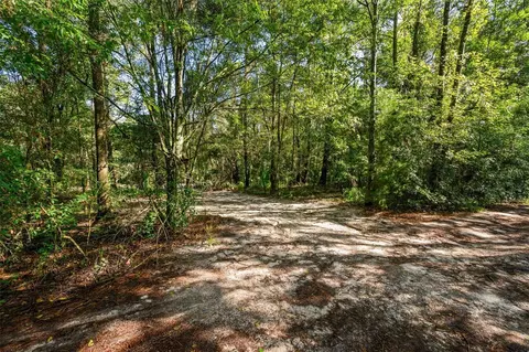 3426 SE 185th Ave, Micanopy, FL 32667 photo 4