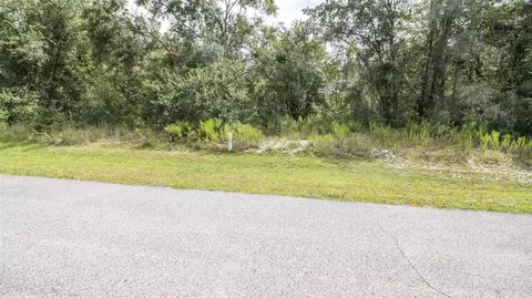 00 SW 80th Pl, Hampton, FL 32044 photo 5