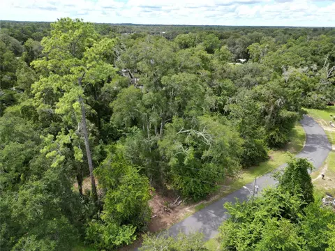 Lake Avenue, Fanning Springs, FL 32693