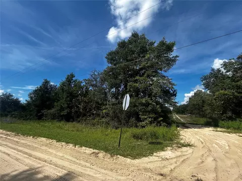 00 NE 115th Ave, Williston, FL 32696 photo 3