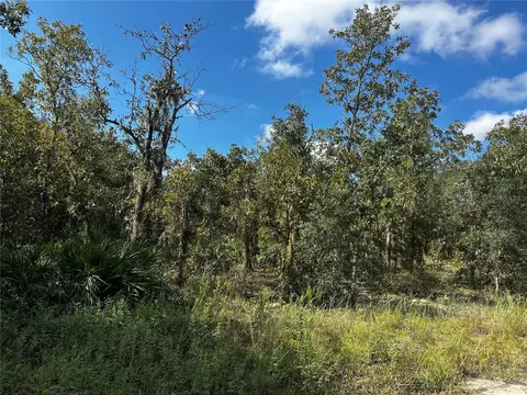 00 NE 115th Ave, Williston, FL 32696 photo 4