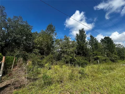 00 NE 115th Ave, Williston, FL 32696 photo 5