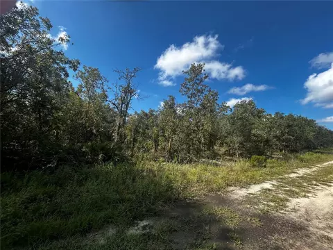00 NE 115th Ave, Williston, FL 32696 photo 6