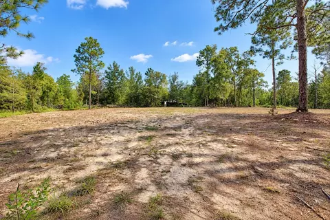 Other - 419 Lily Trl, Interlachen, FL 32148 photo 15 of 17