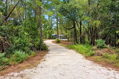 Other - 419 Lily Trl, Interlachen, FL 32148 photo 4 of 17