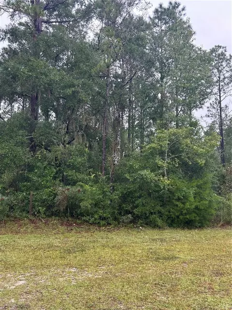 tbd NE 77th Ct, Bronson, FL 32621 photo 2