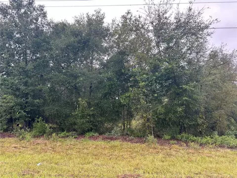 tbd NE 110th St, Bronson, FL 32621 photo 2