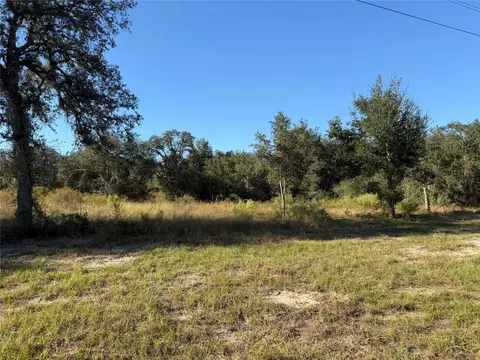tbd NE 106th Ter, Bronson, FL 32621 photo 2