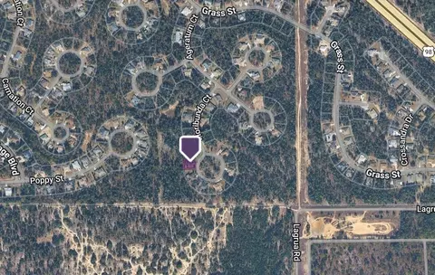 14 Floribunda Ct, Homosassa, FL 34446