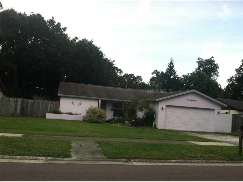 3305 Las Brisas Dr, Riverview, FL 33578 photo 1