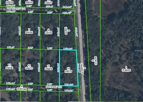 36091 Overcup Dr, Webster, FL 33597 photo 1