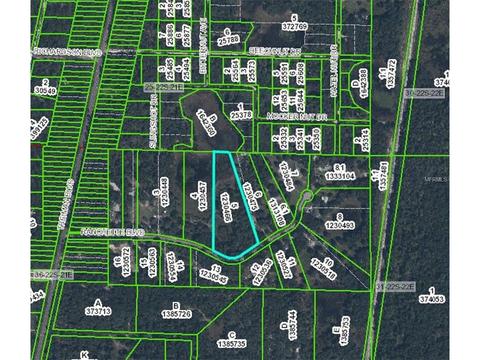 35415 Ranchette Blvd, Webster, FL 33597 photo 1