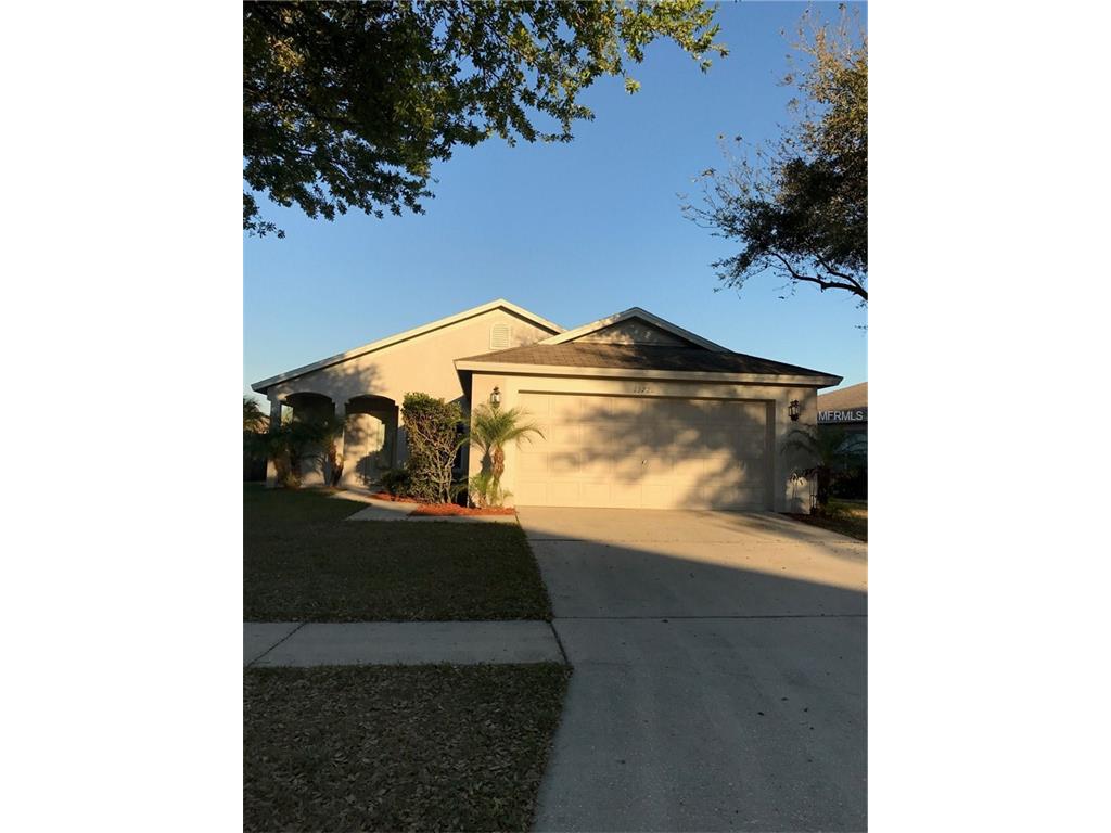 13720 Ogakor Dr, Riverview, FL 33579 photo 1