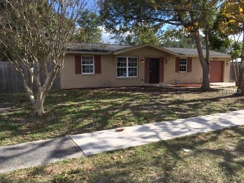 4312 Peacock Rd, Spring Hill, FL 34608 photo 1