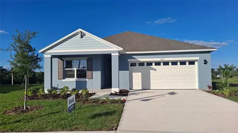 5289 Greenheart Ave, Mount Dora, FL 32757