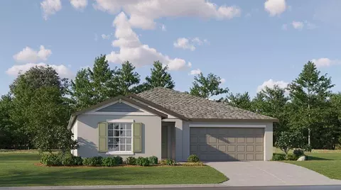 22400 Blazing Star Run, Land O Lakes, FL 34637